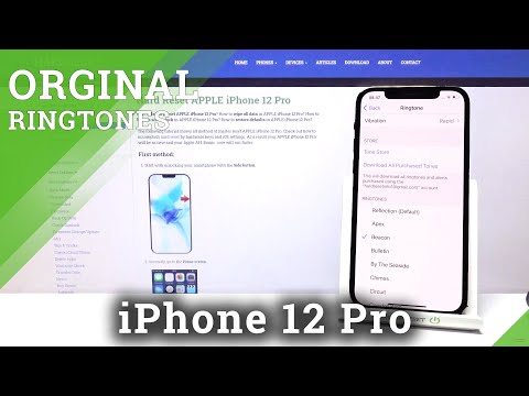 Ringtone List on iPhone 12 Pro – Listen Available Ringtones