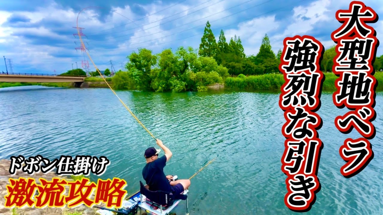 手賀沼の激浅な川は大型ヘラブナの溜まり場！ドボン仕掛けで地ベラの強烈な引きを楽しむ【大堀川】