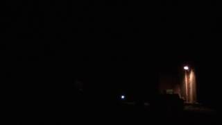 Coyote Howling in the Night