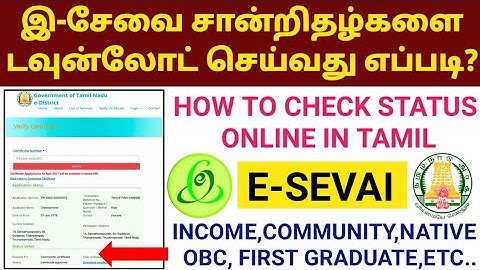 DOWNLOAD ALL E SEVAI CERTIFICATE ONLINE | HOW TO CHECK STATUS | TNEGA | INCOME | NATIVE | COMMUNITY