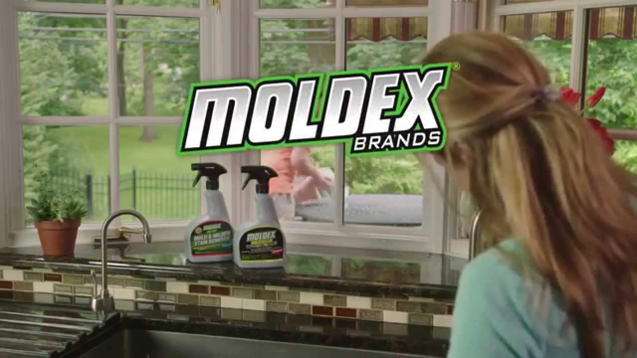 Moldex Mold Killer