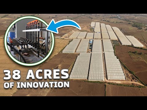 Hydroponic Farming on Barren Land | Eeki’s 38-Acre Namana Farm