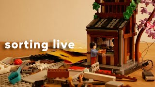MOC Sorting Stream | VOD