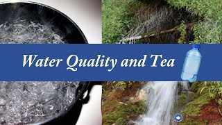 Water Quality and Tea screenshot 4