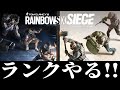 【R6S】SGが最強になるらしい……参加型ランク!!!【シージ】