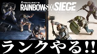 【R6S】SGが最強になるらしい……参加型ランク!!!【シージ】