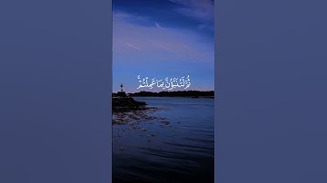 القارئ ياسر الدوسري #قرآن #اكسبلور #المصحف ##إستمع #لايك