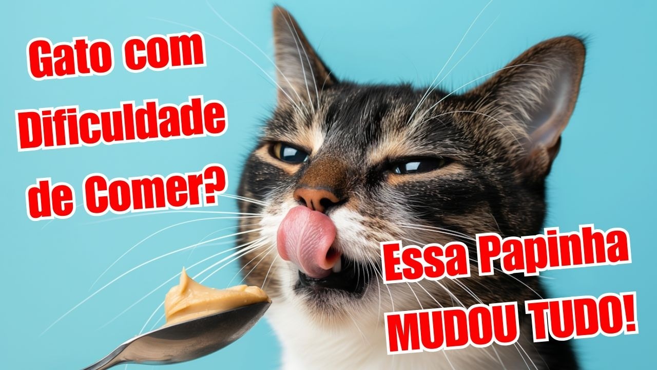 Gato Não Come? A Papinha MILAGROSA que Salvou o Chiquito!