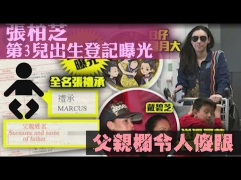 張柏芝神祕兒出生登記曝光　父親欄令人傻眼 | 蘋果娛樂 | 台灣蘋果日報