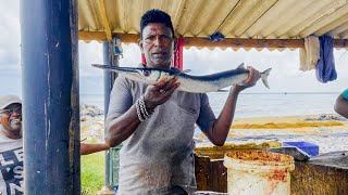 Amazing Huge Hound Fish Cutting Skill Giant Alligator Gar Fish Cutting Fish Cutting Skills
