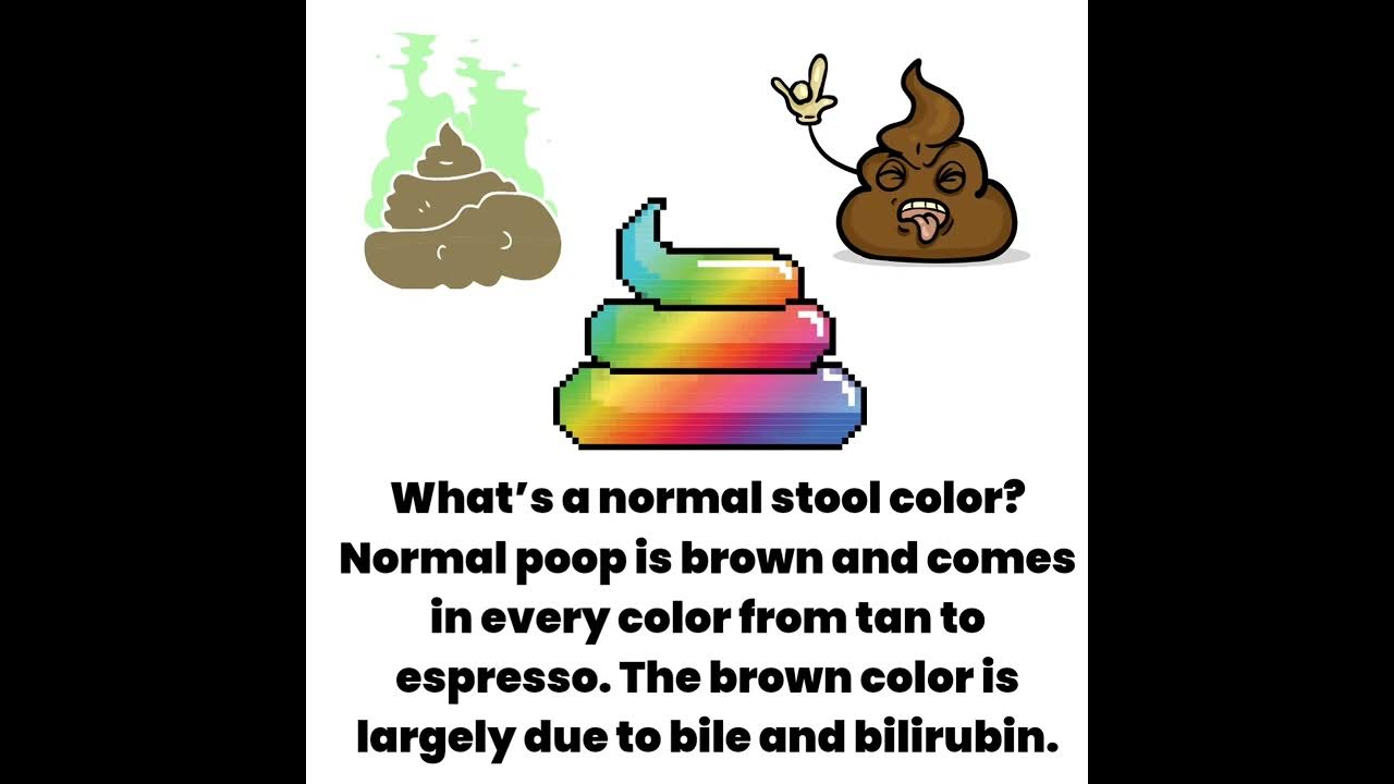 What your stool says about your health YouTube