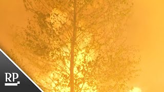 Nrw - Feuerwehren In Niederländischem Naturschutzgebiet Im Einsatz