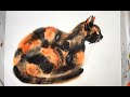 Live tutorial: Torti cat watercolor painting with using salt