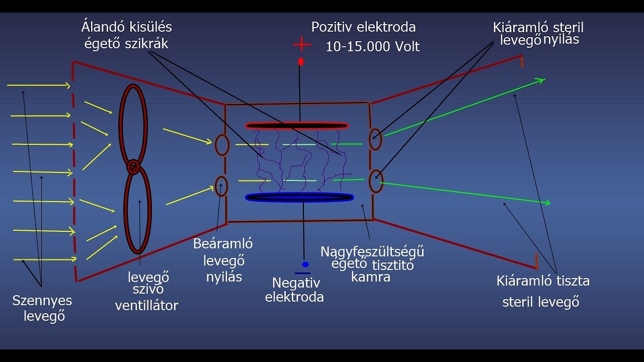 Bőratka bőrgyógyászati kezelése, Bőrparaziták emberben, kezelésük