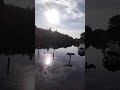 【東京tokyo】2021.9.08 井の頭公園 〈41秒〉#tokyo#tokio#nature#sound#park#relax#东京