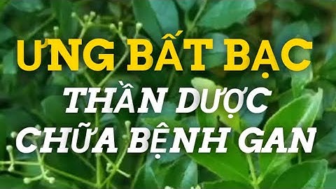 THẦN DƯỢC CỨU LÁ GAN - ƯNG BẤT BẠC (Có Bài Thuốc Điều Trị)