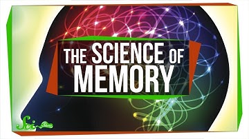 The Science of Memory: Techniques to Improve Retention