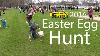 Farm Easter Egg Hunt - 2016