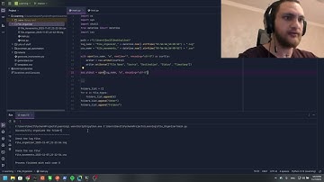 File Organizer (Python) Demo