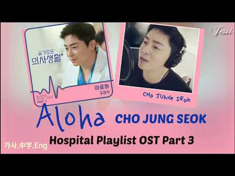 [가사,韓繁中字,Eng]조정석 (CHO JUNG SEOK) – 아로하 (Aloha) Lyrics 가사 (Hospital Playlist OST Part 3) 曹政奭  機智醫生生活