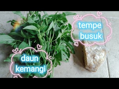 Resep Tempe Busuk Kemangi