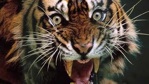 OBEC Youth Esports Creators FN