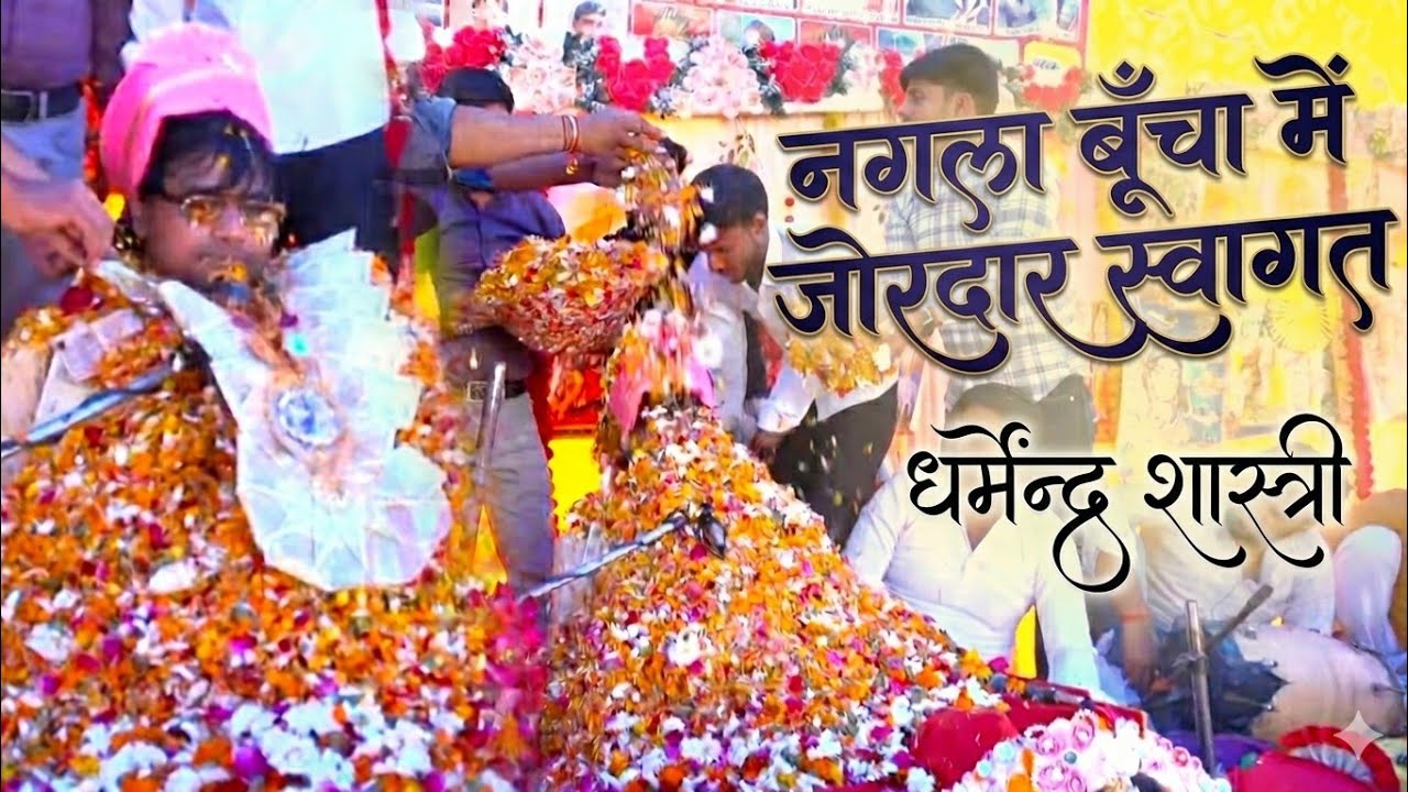 नगला बूचा करहल मैनपुरी में जोरदार स्वागत हुआ dharmendra Shastri #धर्मेंद्र_शास्त्री #viralvideo 