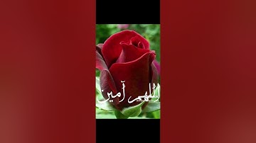 Hamza Boudid يا فرجنا إذا أغلقت الأبواب القارئ حمزة بوديب دعاء 