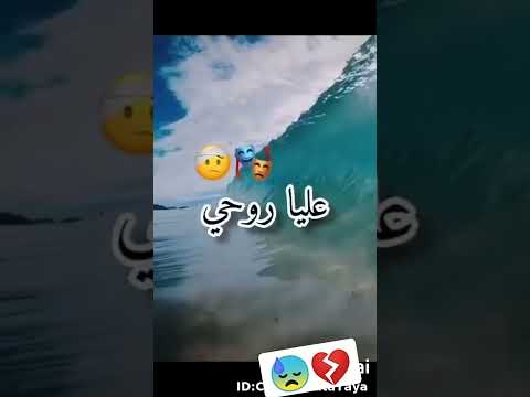 عشقك راه يعي Kwai Shorts Music