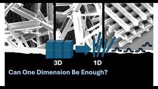1D Materials: Can One Dimension Be Enough