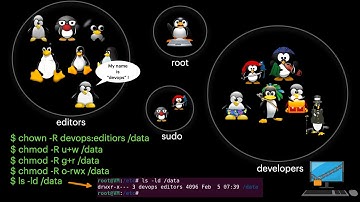 Master Linux Users and Groups in 4 Minutes #linix #development #coding