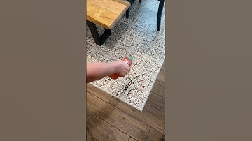 The Rug Palette Tips for Matching Your Area Rug with Your Room Colors