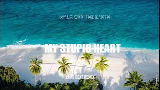 Rawi Beat - My Stupid Heart - [ Slow Remix ]
