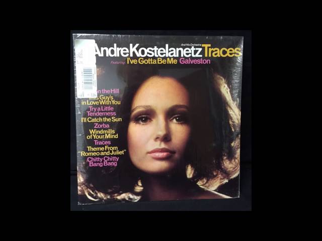 Andre Kostelanetz - This Guy's In Love With You