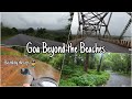 Goa Beyond the Beaches !! Mhadei Wildlife Sanctuary #dilliwalaarmaan #charm #goa #northgoa