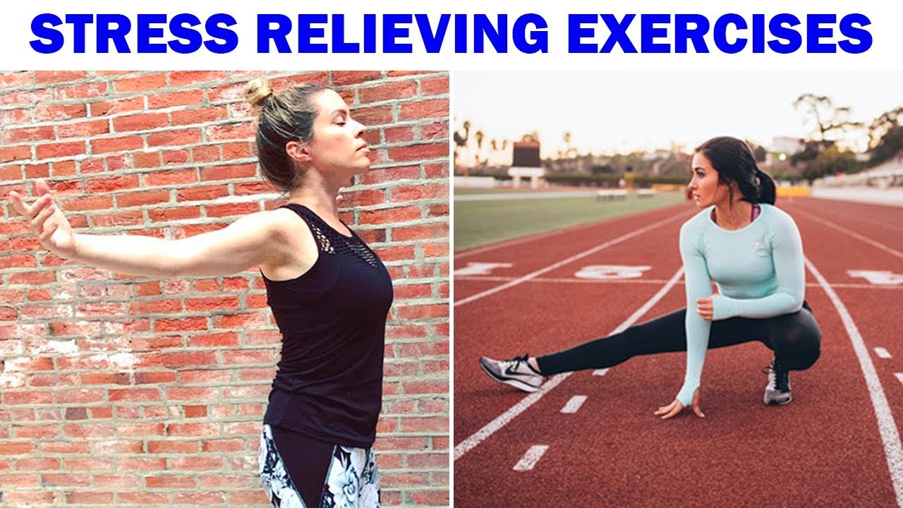 20+ Exercises To Reduse Stress And Calm Down Your Mind exercise 14.1 class 11