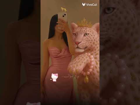 هيفاء وهبي لو كنت كتاب كنت كتاب عن الجمال حالة واتساب تصميم احترافي