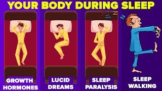Things That Happen To Your Body While You're Asleep Things That Happen To Your Body While You're Asleep