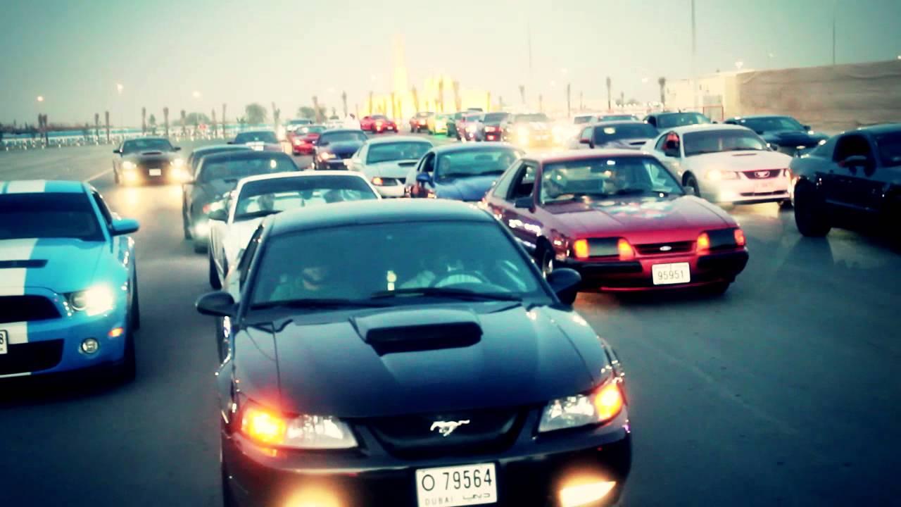 Mustang Knights - Al Marmoom Gathering