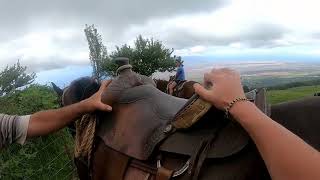 Horse Riding On Maui Gopro Pov