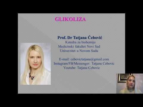 Video: Kako je glikoliza povezana sa Krebsovim ciklusom?