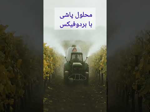 مراقبتهای پاییزه درخت و نهال انگور