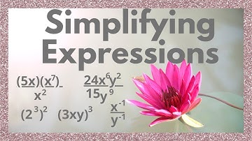 Simplifying Expressions with Exponents | 3 true or false questions, and lots of examples