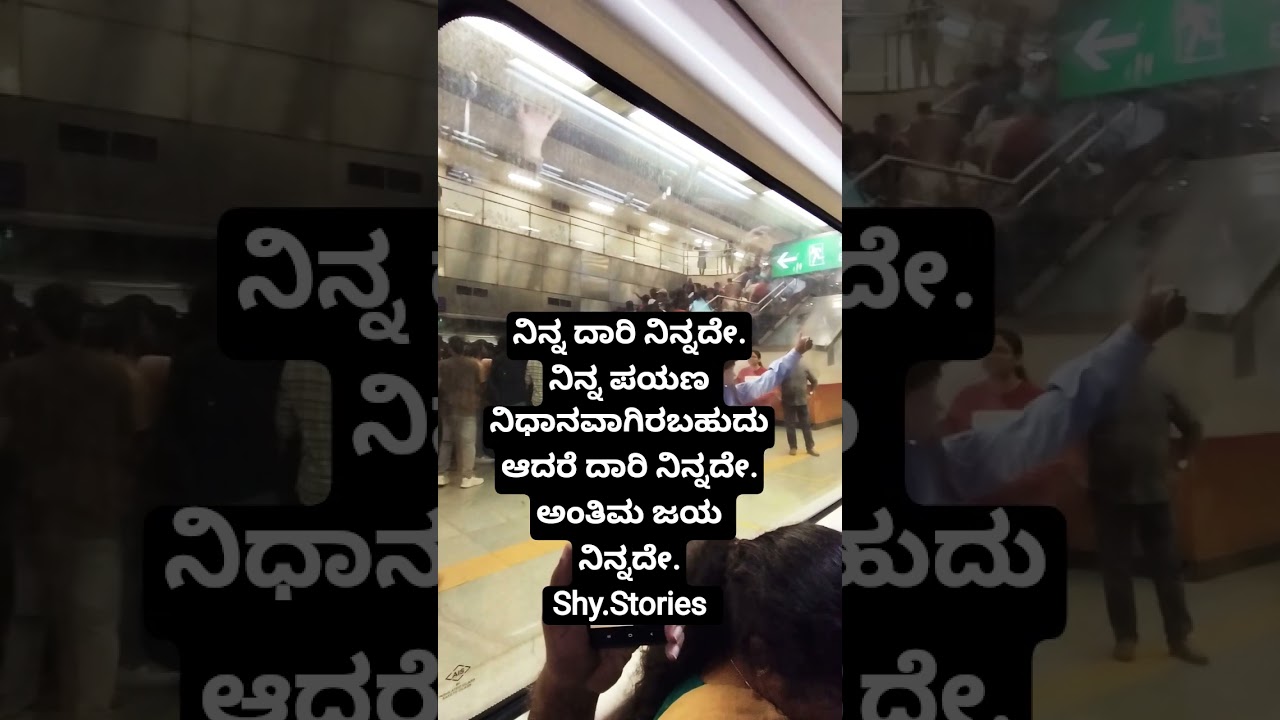 shy stories. Never stop, never give up. 