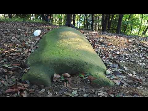 長持形石棺が残る兵庫県西部最大の前方後円墳 姫路市の壇場山古墳 1600YearOld Stone Coffin on Danjozan