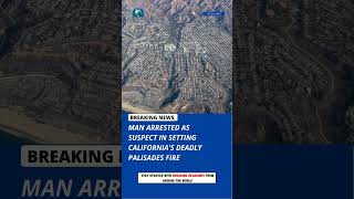 Man Arrested in Deadly California Palisades Fire Investigation