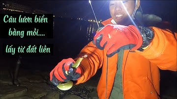 Câu Lươn Biển Bằng Mồi Bén | Câu Cá Ở Nhật | Gia Đình Cá Tráp