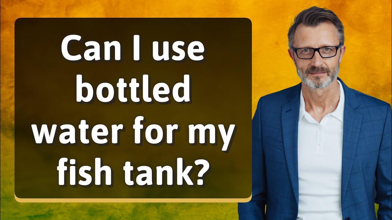 Can I use bottled water for my fish tank? YouTube