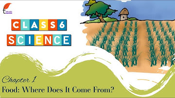 Class 6 Science Chapter 1 Food Where Does It Come From? in English Medium