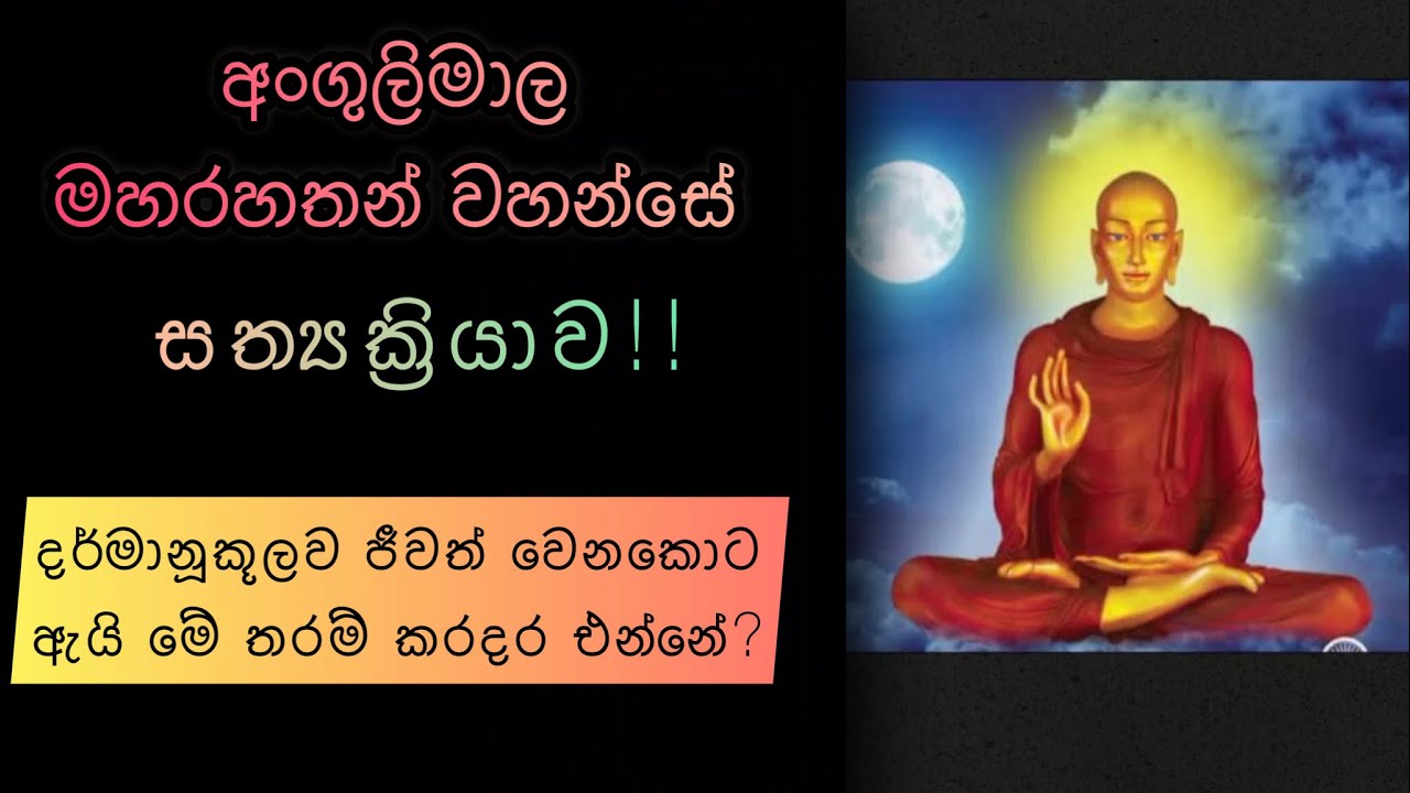 ඉවසීම නැති,දරාගැනීම නැති, කරපු පවු ගැන පසු තැවෙන අයට🌸|අංගුලිමාල මහරහතන් වහන්සේ සරන යා යුත්තේ ඇයි?🙏